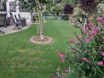 Lawn care service in Clayton, 27527
