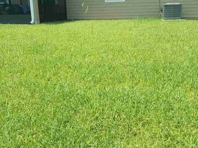 Lawn care service in Jacksonville, 32218