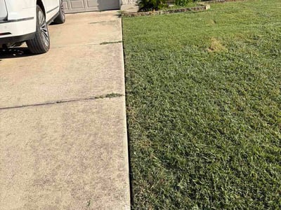 Lawn care service in Jarrell, 76537