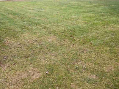 Lawn care service in Broadview Heights, 44147