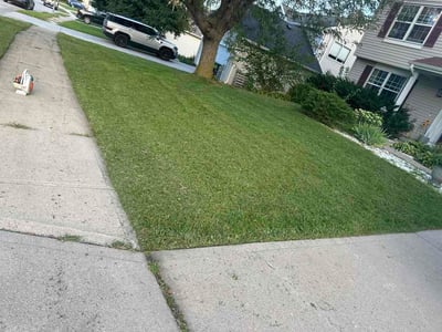 Lawn care service in Omaha, 68135