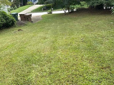 Lawn care service in Cary, 27513