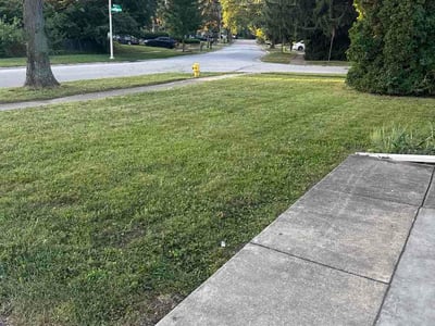 Lawn care service in Bolingbrook, 60440