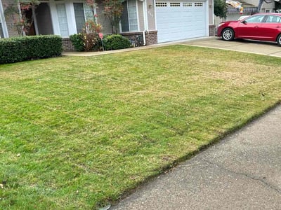 Lawn care service in , 