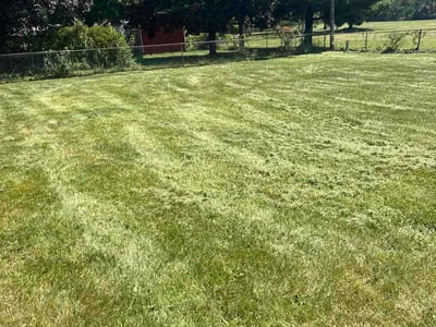 Lawn care service in Mason, 45040