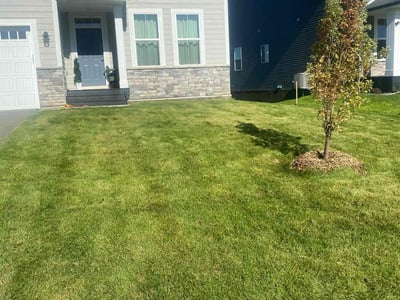 Lawn care service in Saint Michael, 55376