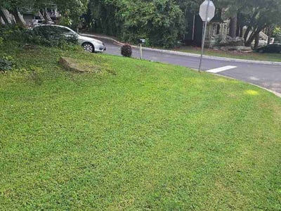 Lawn care service in Smyrna, 30080