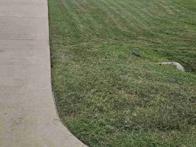 Lawn care service in Katy, 77493