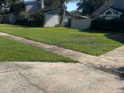 Lawn care service in Orlando, 32833