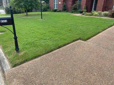 Lawn care service in Collierville, 38017