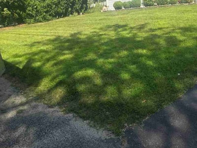 Lawn care service in Framingham, 01701