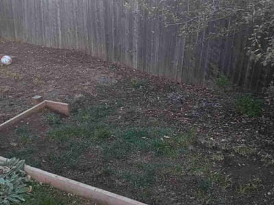 Lawn care service in , 