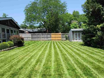 Lawn care service in Cincinnati, 45218
