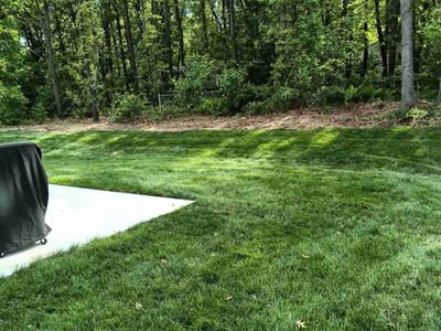 Lawn care service in Greenville, 48838