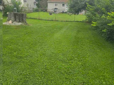 Lawn care service in Columbus, 43232