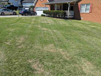 Lawn care service in Snellville, 30078