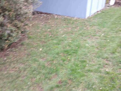 Lawn care service in Pittsburgh, 15237