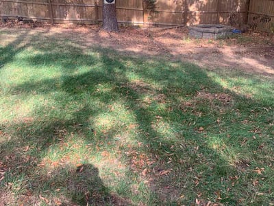 Lawn care service in , 