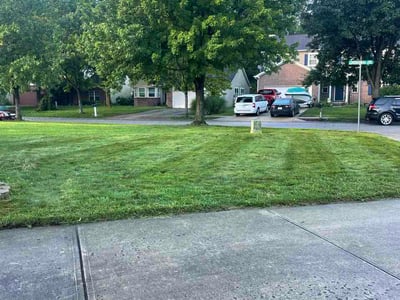 Lawn care service in Noblesville, 46062