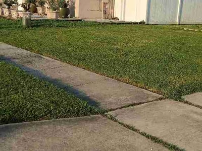 Lawn care service in Orlando, 32807