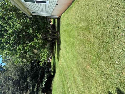 Lawn care service in Newnan, 30263