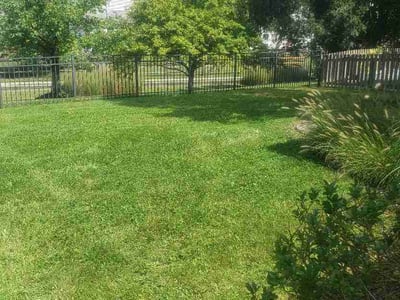 Lawn care service in Maineville, 45039
