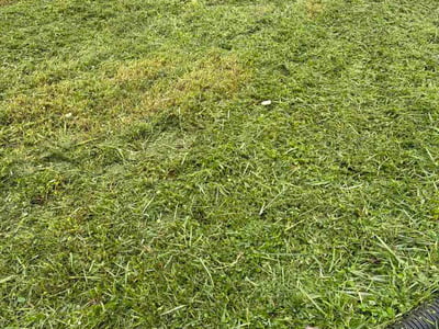 Lawn care service in Ferguson, 63135