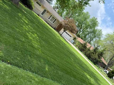 Lawn care service in Brookfield, 53005