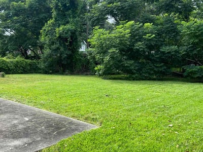 Lawn care service in New Orleans, 70131