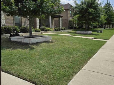 Lawn care service in Forney, 75126