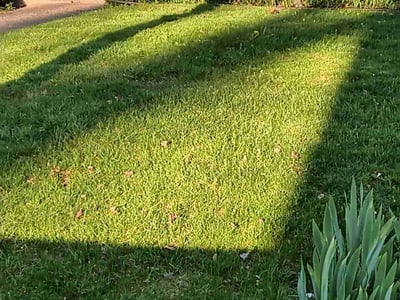 Lawn care service in Lansing, 48910