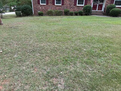 Lawn care service in Columbia, 29212