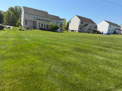 Lawn care service in Easton, 18045