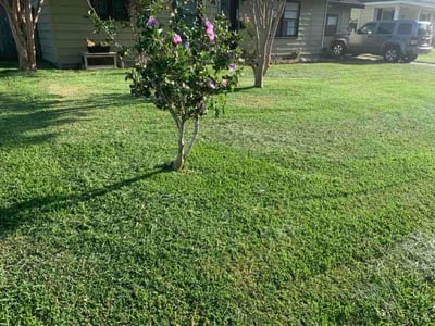 Lawn care service in Texas City, 77590