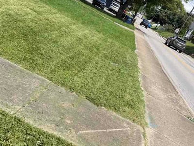 Lawn care service in Ashland, 41101