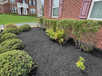 Lawn care service in Derwood, 20855