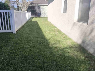 Lawn care service in Tampa, 33647