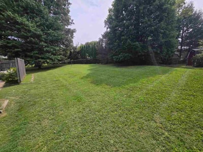 Lawn care service in Louisville, 40223