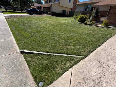 Lawn care service in Colorado Springs, 80917