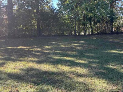 Lawn care service in Clarksville, 37042