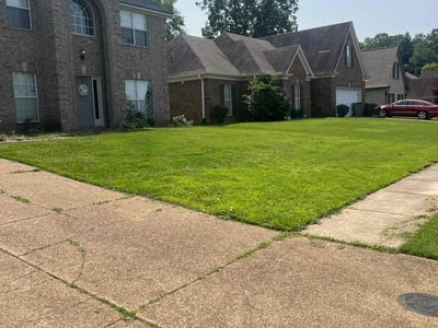 Lawn care service in Cordova, 38016