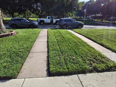 Lawn care service in Chicago, 60617