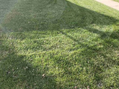 Lawn care service in Omaha, 68144
