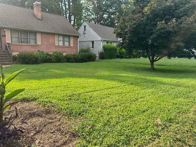 Lawn care service in Atlanta, 30310