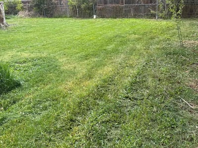 Lawn care service in Fort Collins, 80521