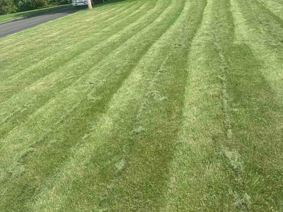 Lawn care service in North Branford, 06472