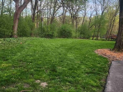 Lawn care service in Barrington, 60010
