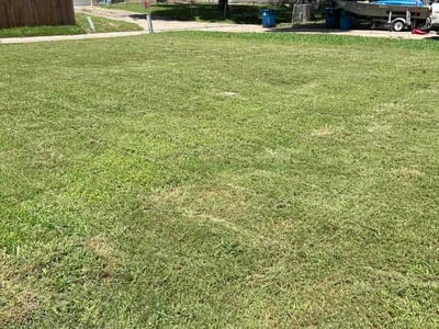 Lawn care service in Rockwall, 75087
