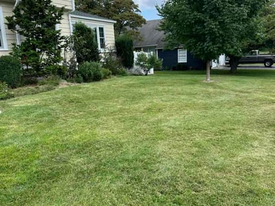 Lawn care service in Stratford, 06614