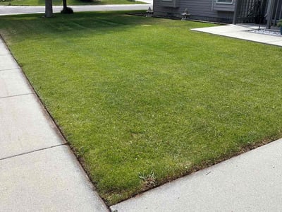 Lawn care service in Boise, 83709